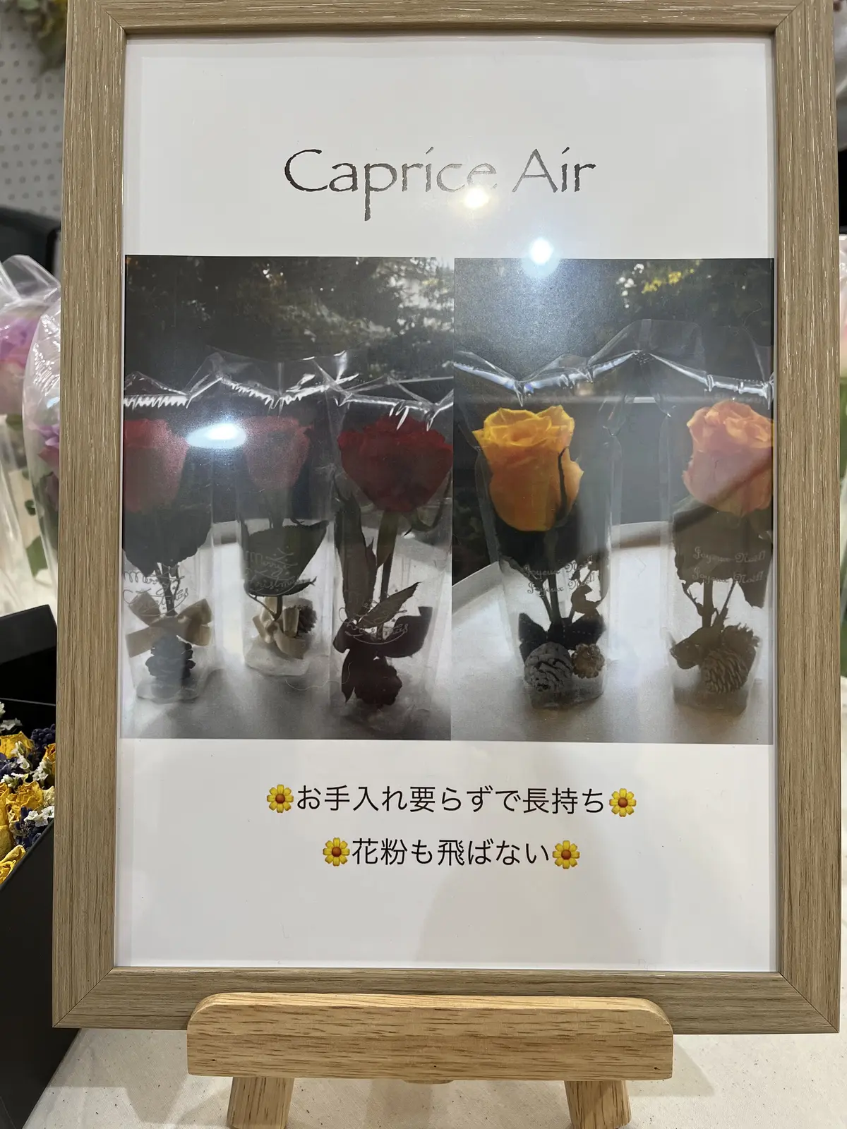 アレルギーでも大丈夫な枯れないお花