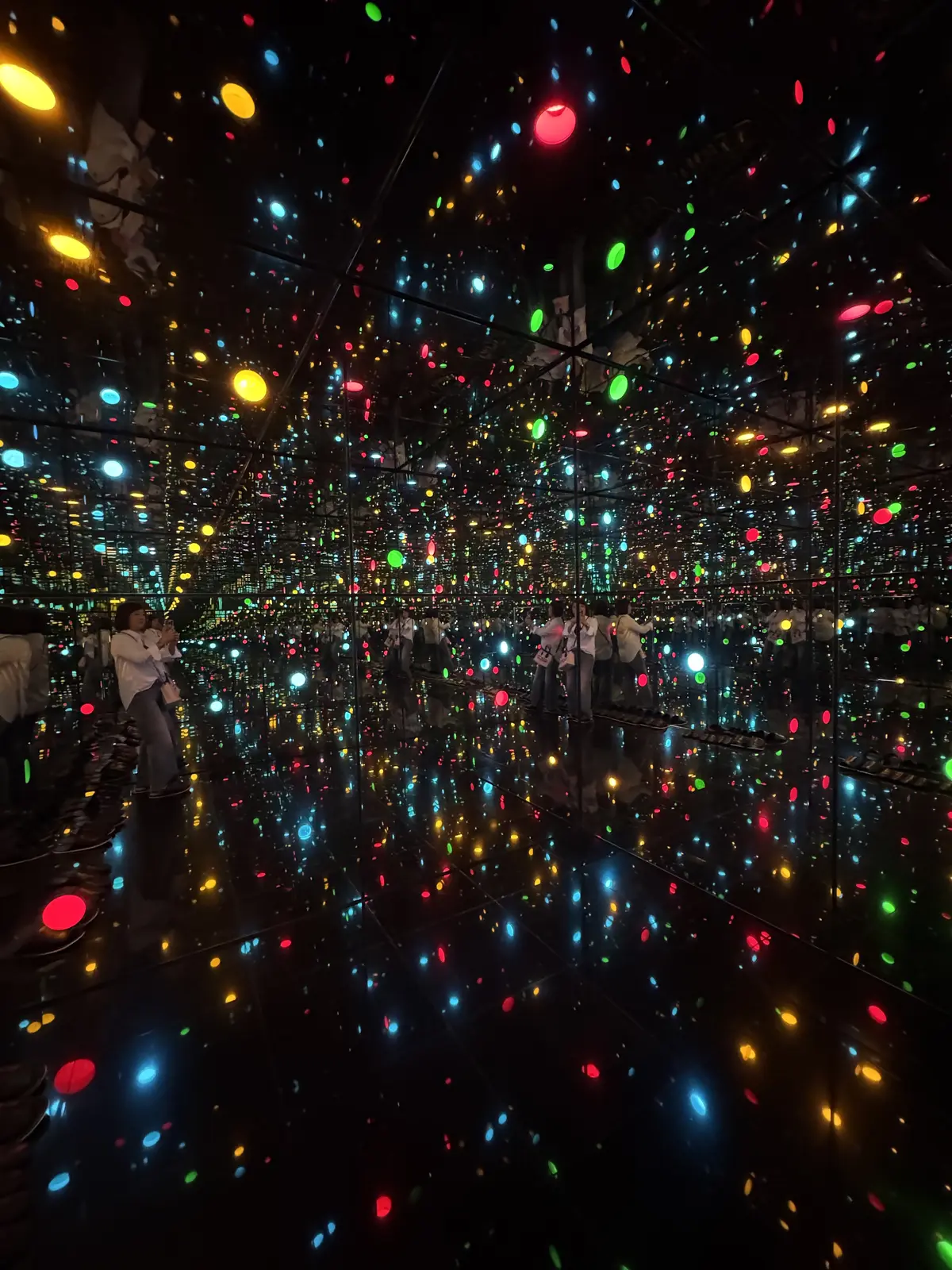 クルックフィールズ　草間彌生