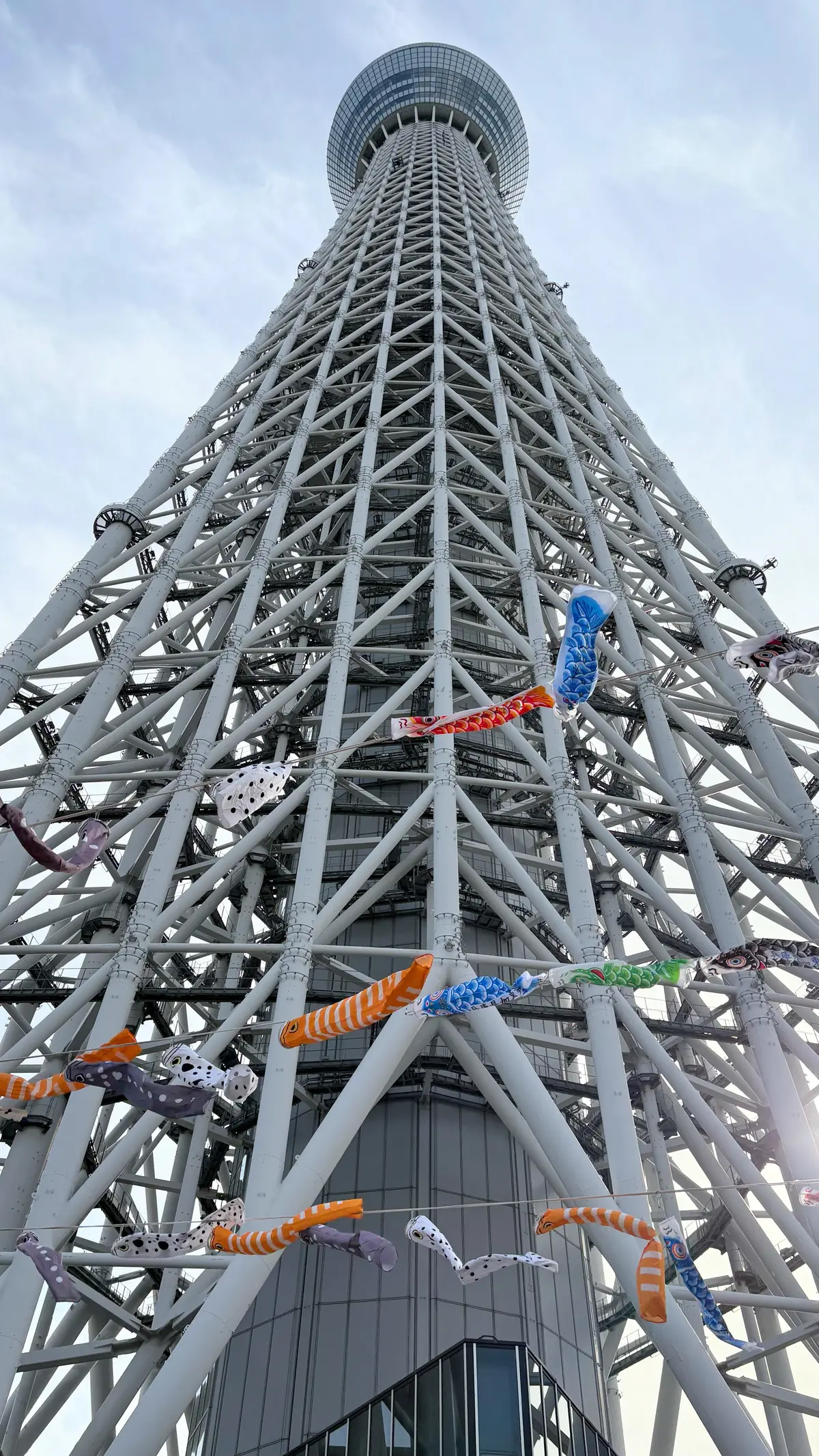 台湾祭@東京スカイツリータウン・プチプチの画像_1