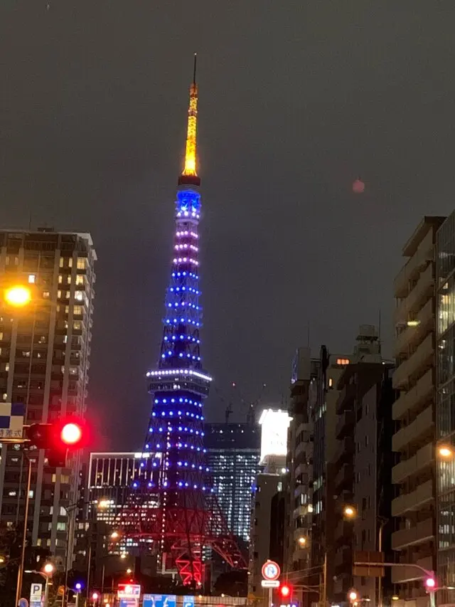 FIFAワールドカップ日本応援カラー