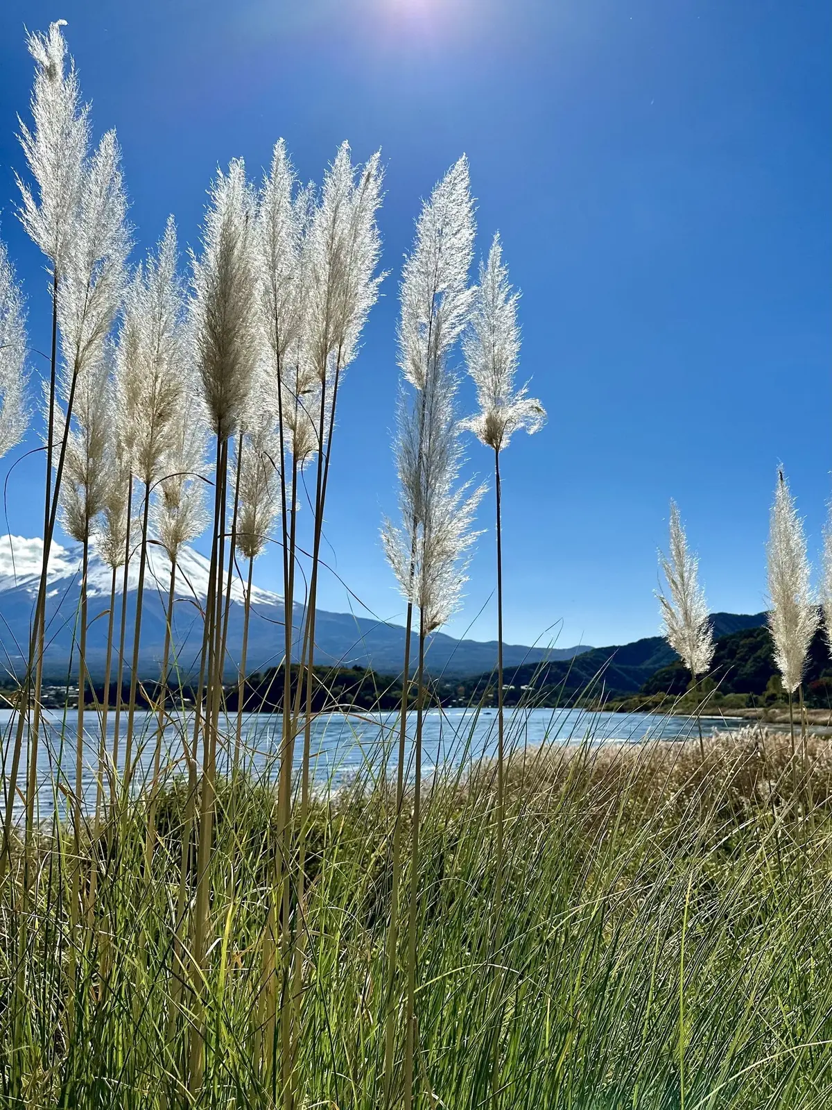 静かな時間と秋の景色を楽しむ河口湖の旅の画像_2