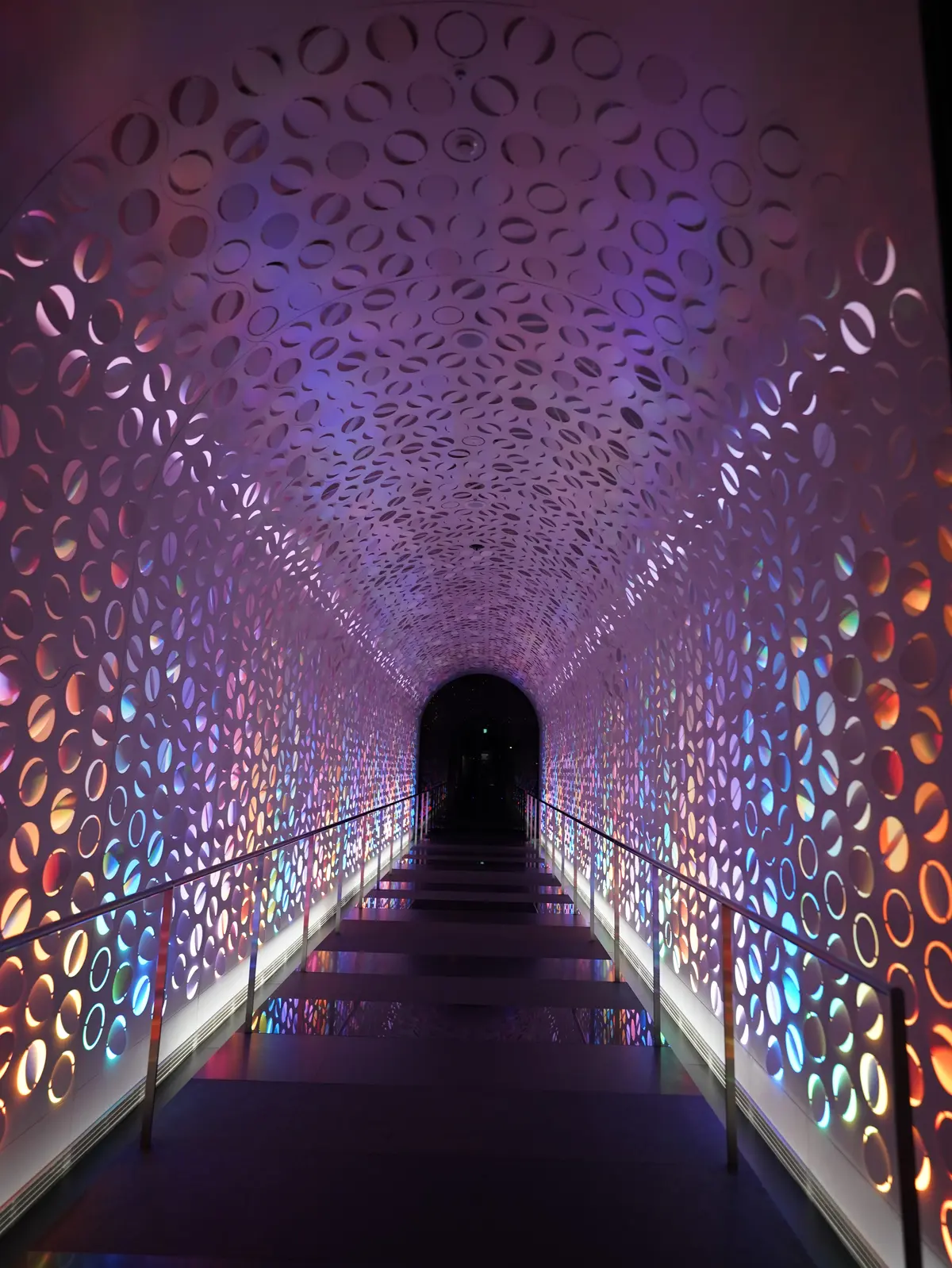 イルミネーションが煌びやかな御堂筋✨「Wの画像_4