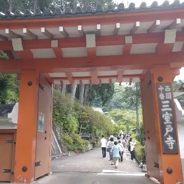 幸せを呼ぶ？！ハート型の紫陽花　～宇治旅の画像_1