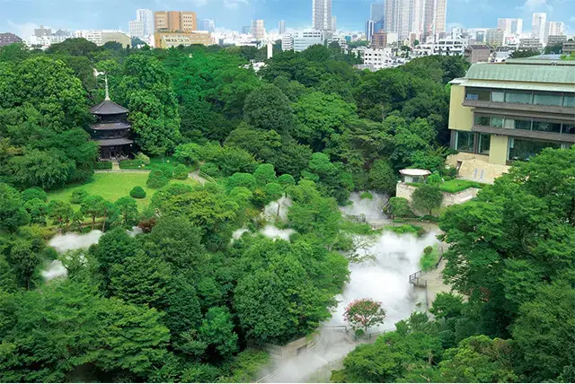 「東京雲海」は、四季折々の趣向で通年開催。ガーデンビューの客室から雲海を見下ろすのも素敵
