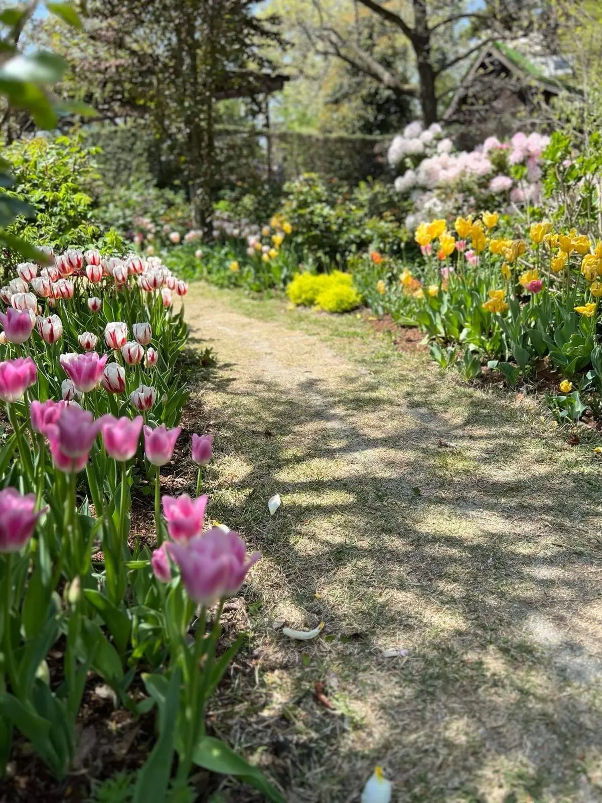 コピスガーデン