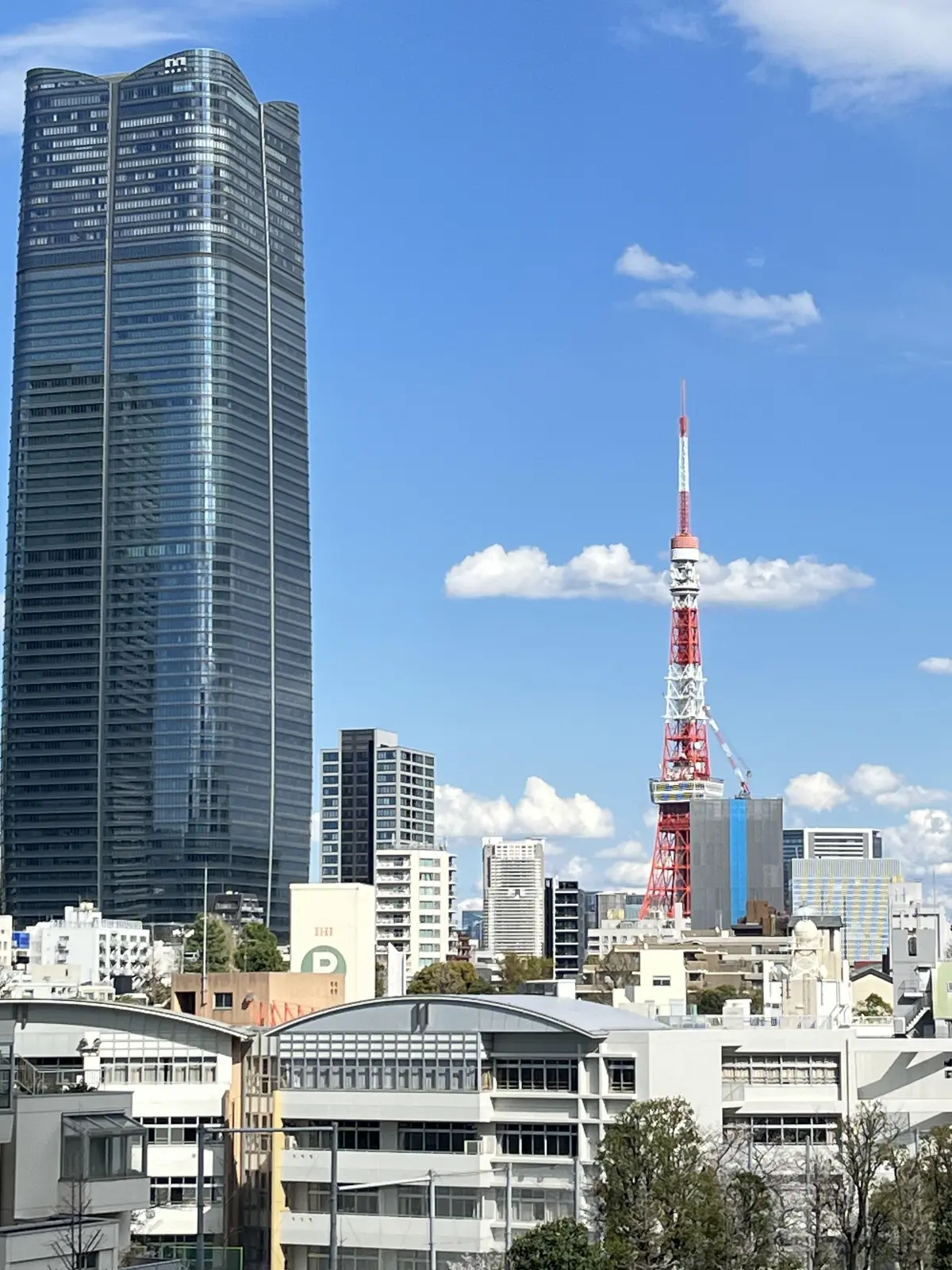 目白の後のお出かけシリーズ、今月は〝六本の画像_17