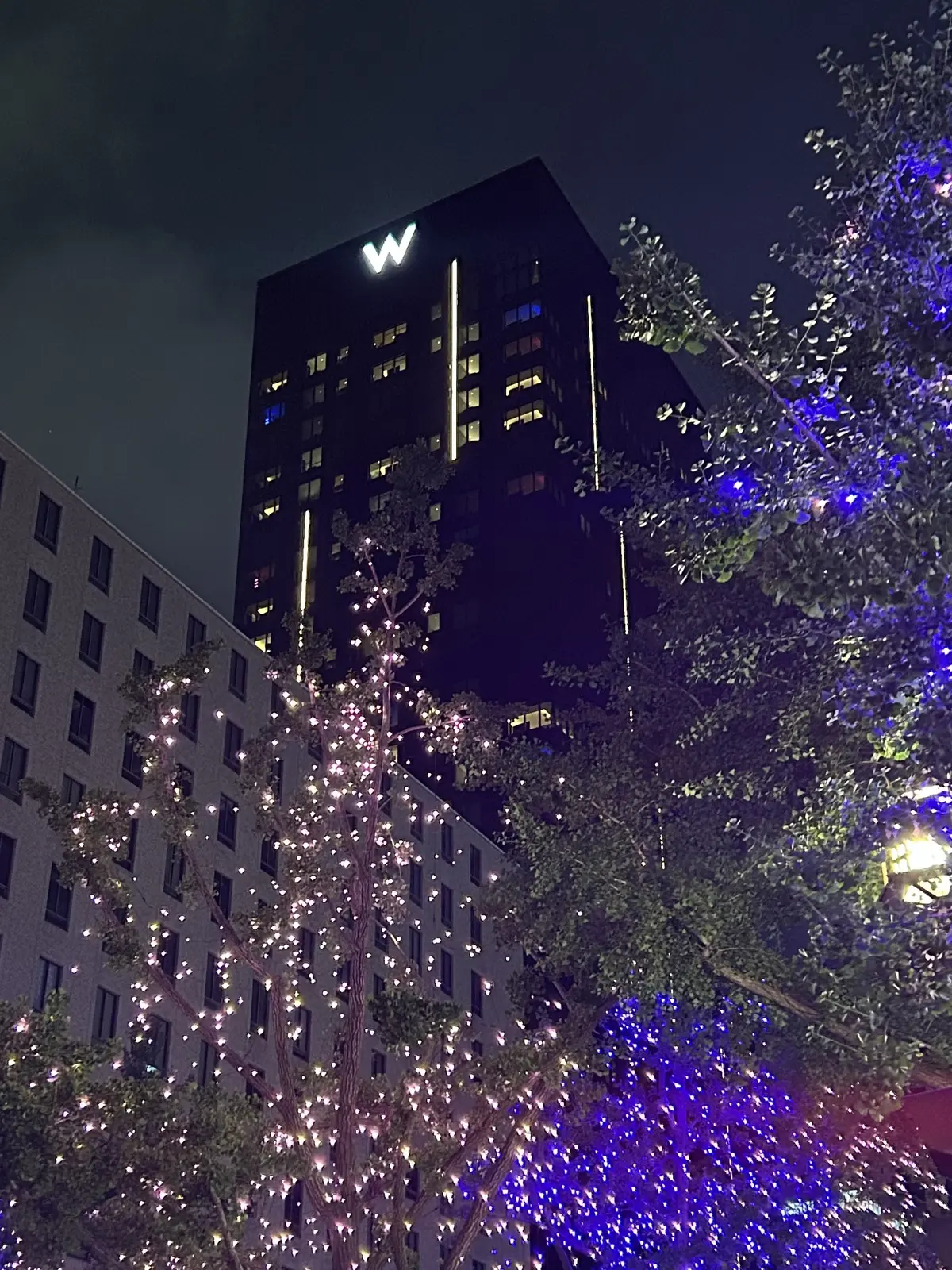 イルミネーションが煌びやかな御堂筋✨「Wの画像_16