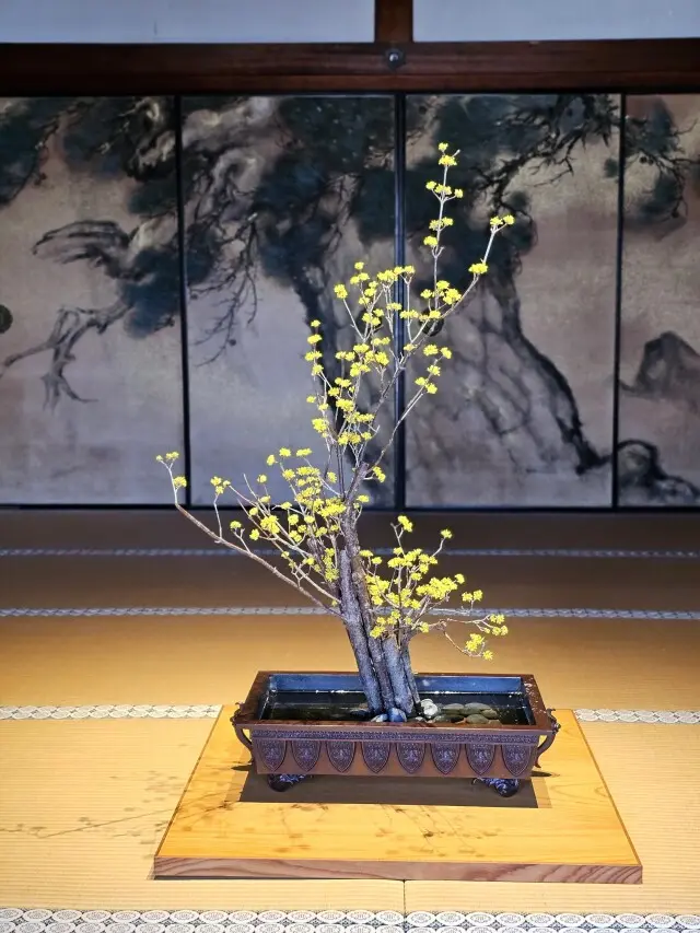 世界遺産・仁和寺への画像_6