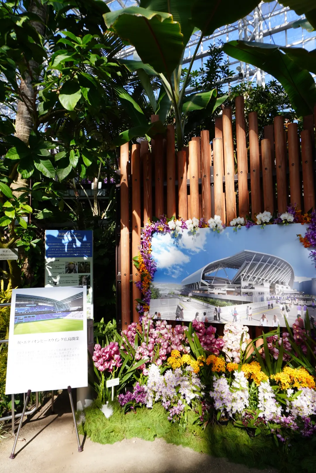 梅も桜も胡蝶蘭まで…花々に囲まれ春の訪れの画像_6