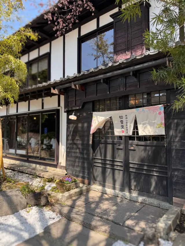 古民家カフェとしだれ桜で寛ぐ春の休日の画像_2