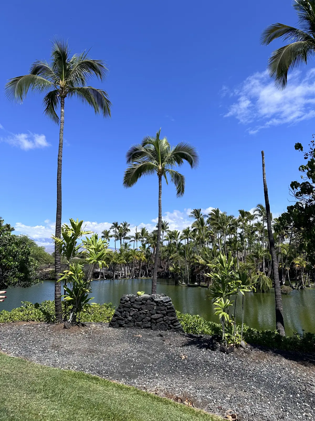 ハワイ島　パワースポット巡り編の画像_5