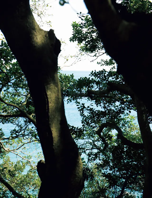 有元葉子　高知