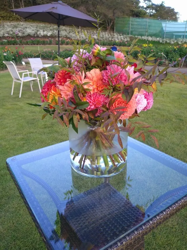 ガラス花瓶のダリア