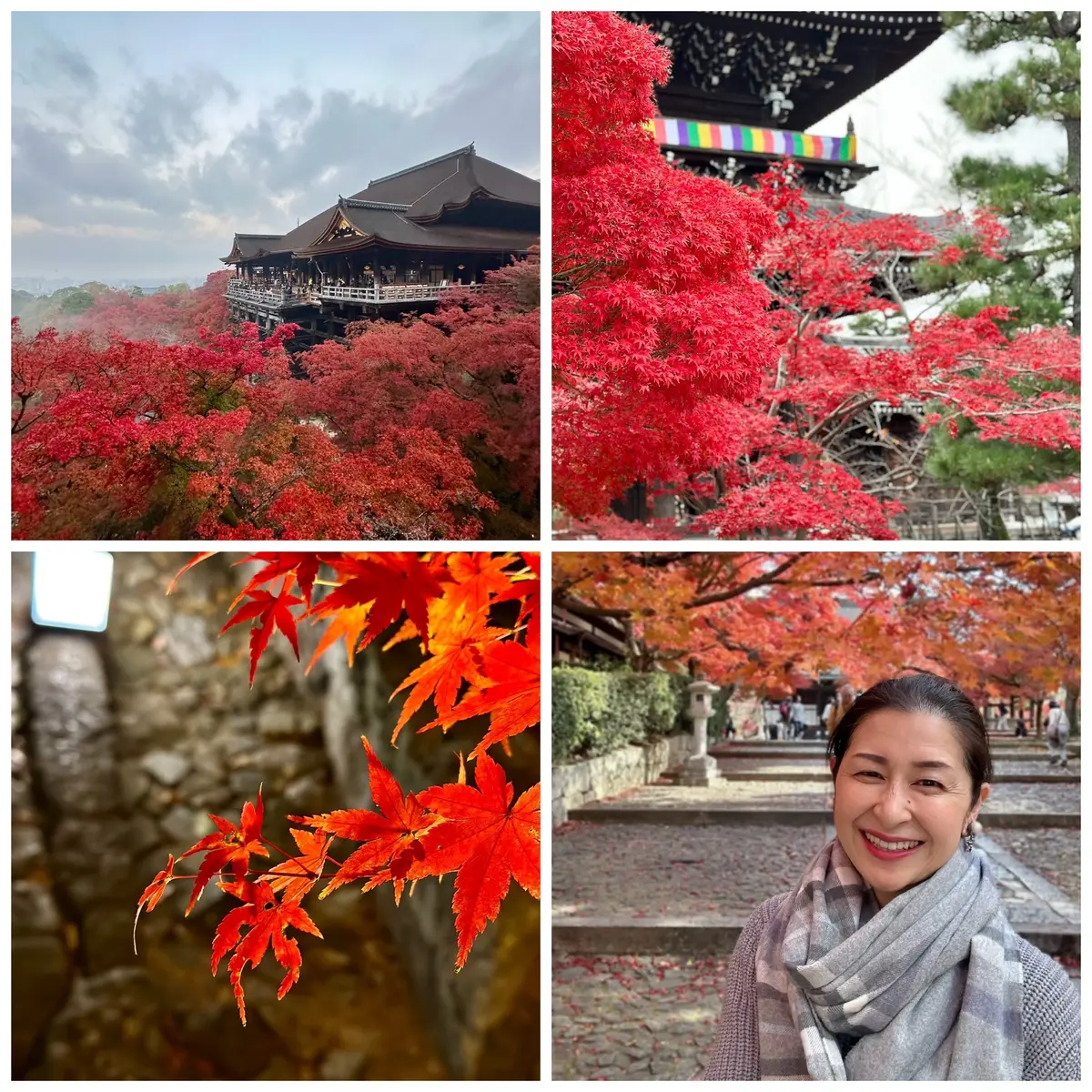 ずっと眺めていたくなる♡美しい京都紅葉2の画像_42