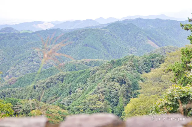 【さかぽんの冒険】苔むす秋の山と温泉プチの画像_1