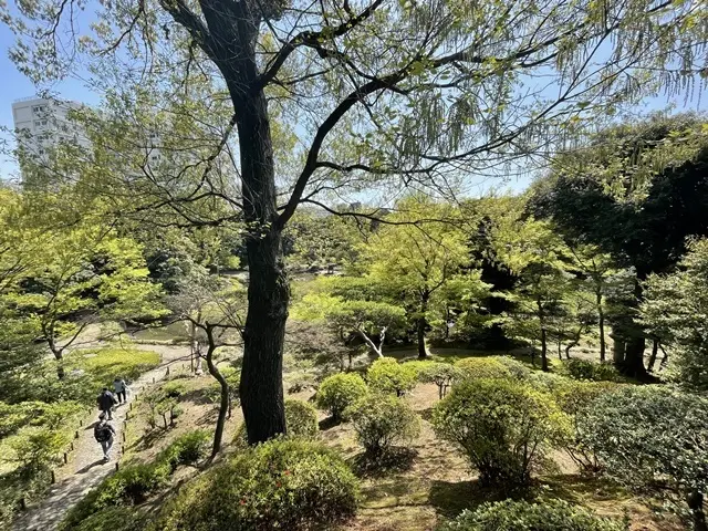 旧古河庭園の全貌、東屋からの景色