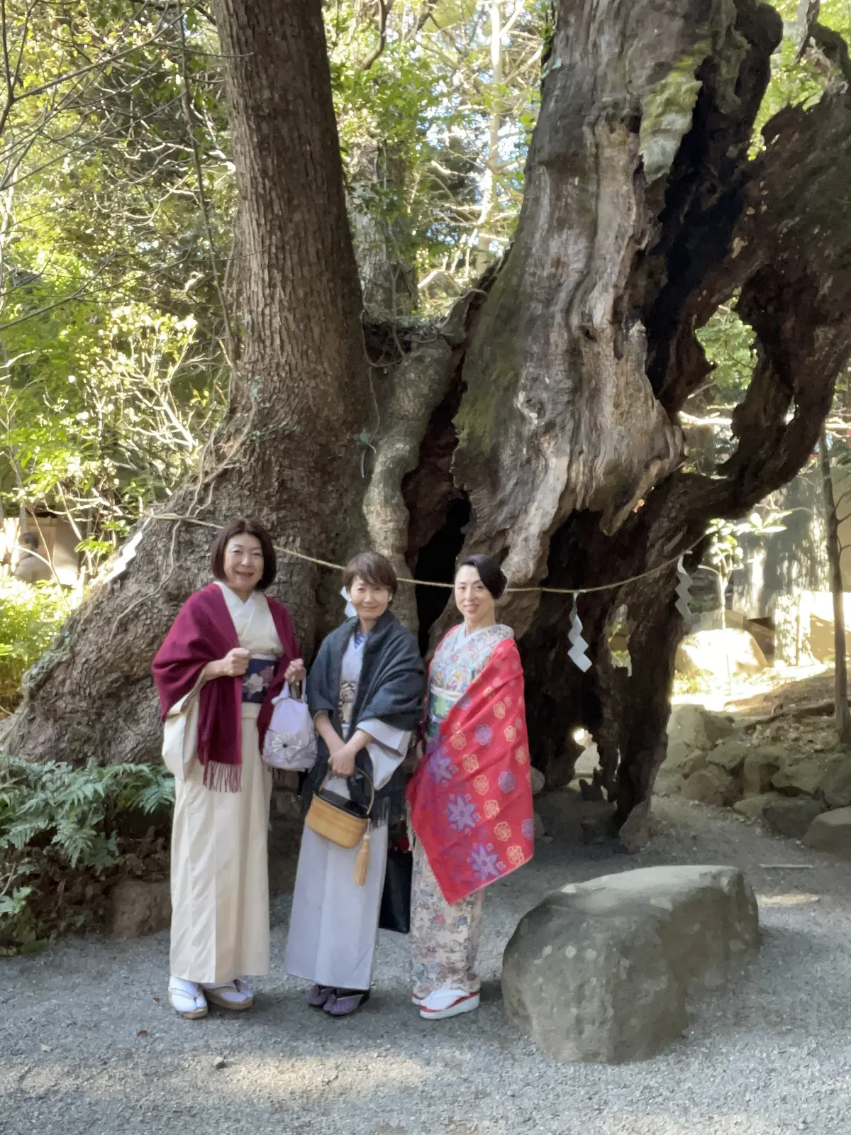 2月が満開　河津桜を見に熱海旅行への画像_6