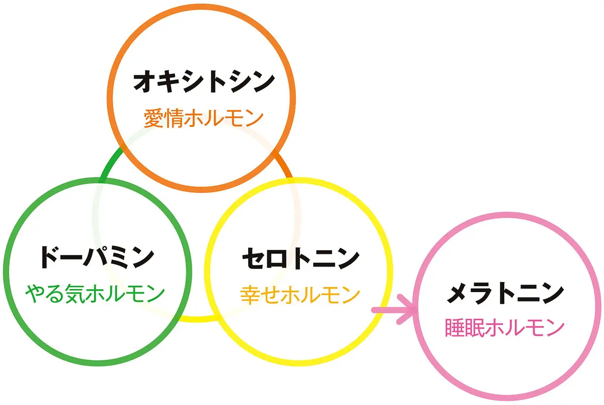 OurAge×Webエクラ　メンタルを支えるホルモン