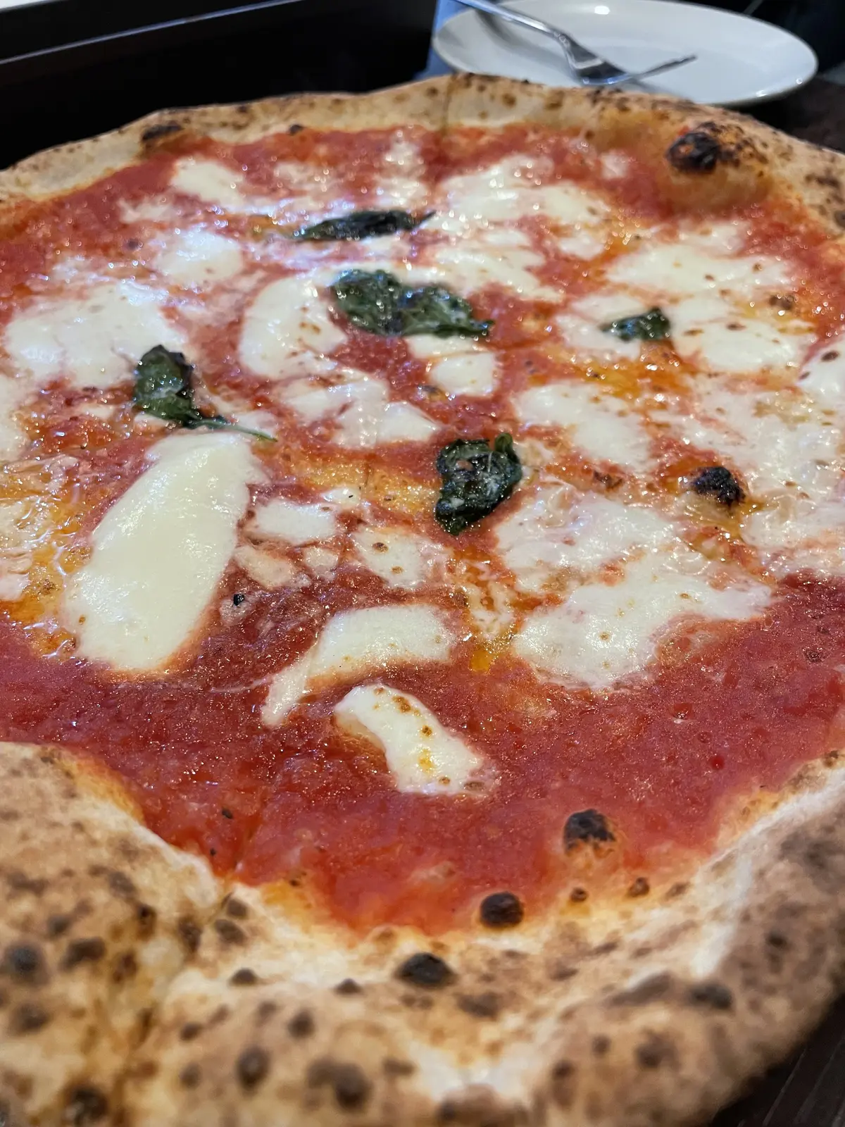 福岡　キャナルシティ博多、薬院カフェ、平の画像_22