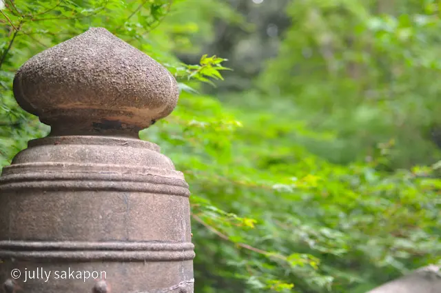 【番外編】雨上がりの参拝@明治神宮の画像_1