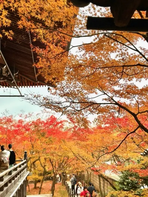 秋の京都巡り♡紅葉の永観堂（禅林寺）〜 の画像_14