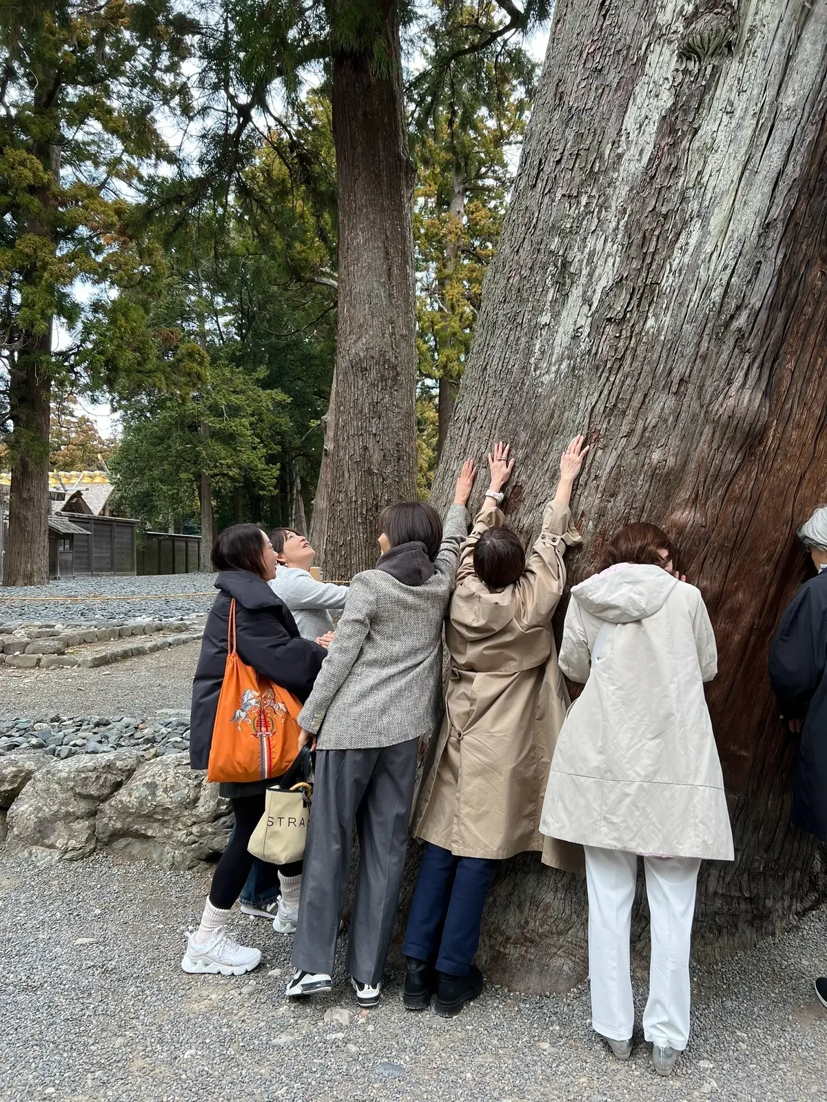 [伊勢旅] 三つ石でエネルギーチャージ、の画像_5