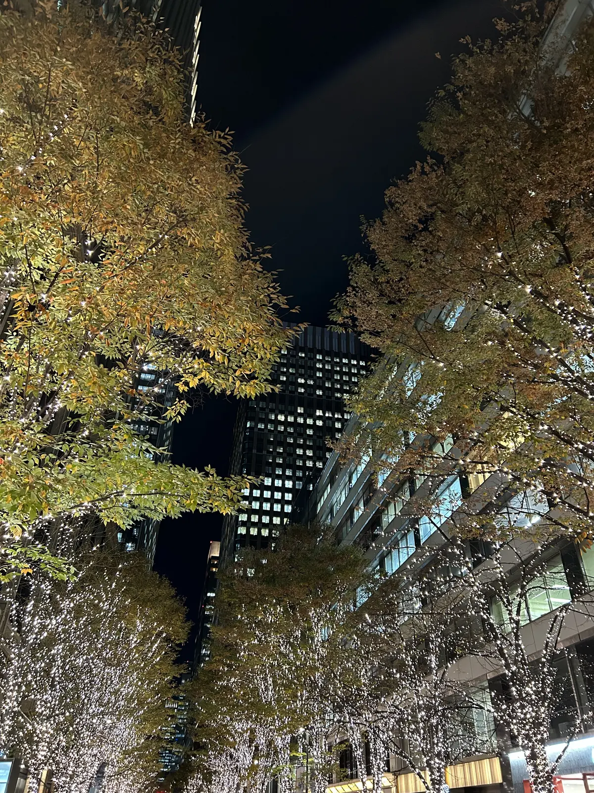 東京會舘ロッシニテラス〜東京ステーションの画像_19