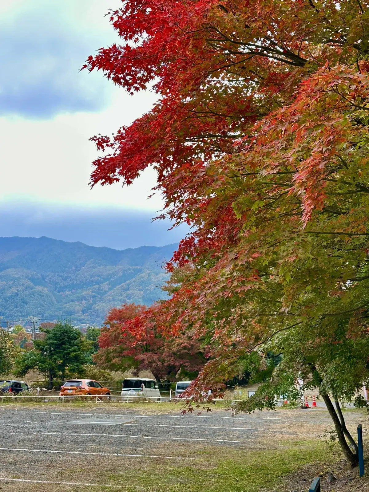 静かな時間と秋の景色を楽しむ河口湖の旅の画像_41