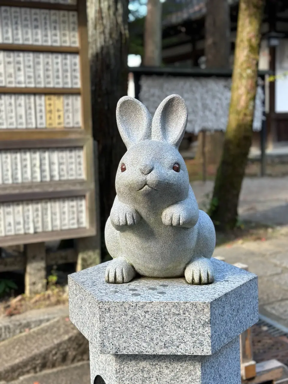 秋の京都巡り♡紅葉の永観堂（禅林寺）〜 の画像_2