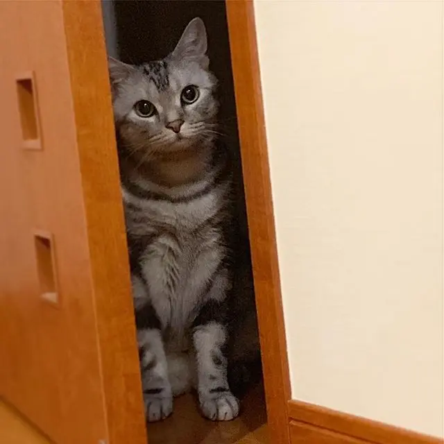 のぞき見しちゃうよの画像_1