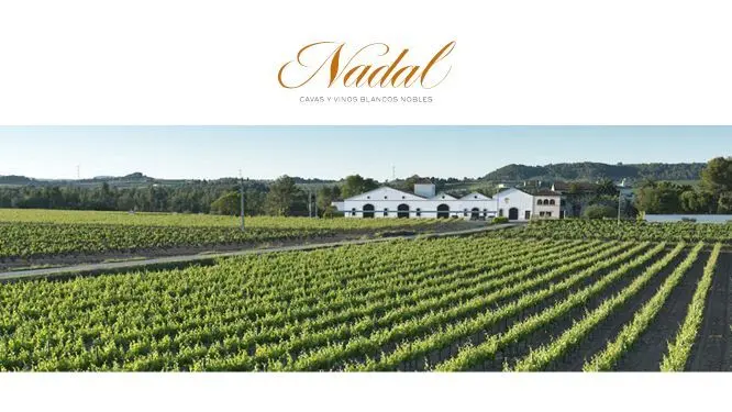 ナダル　カカオサンパカ