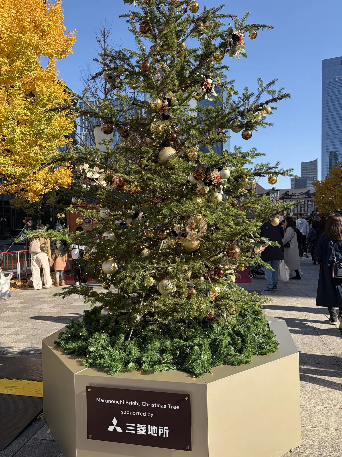 皇居の紅葉から重要文化財「明治安田生命館の画像_17