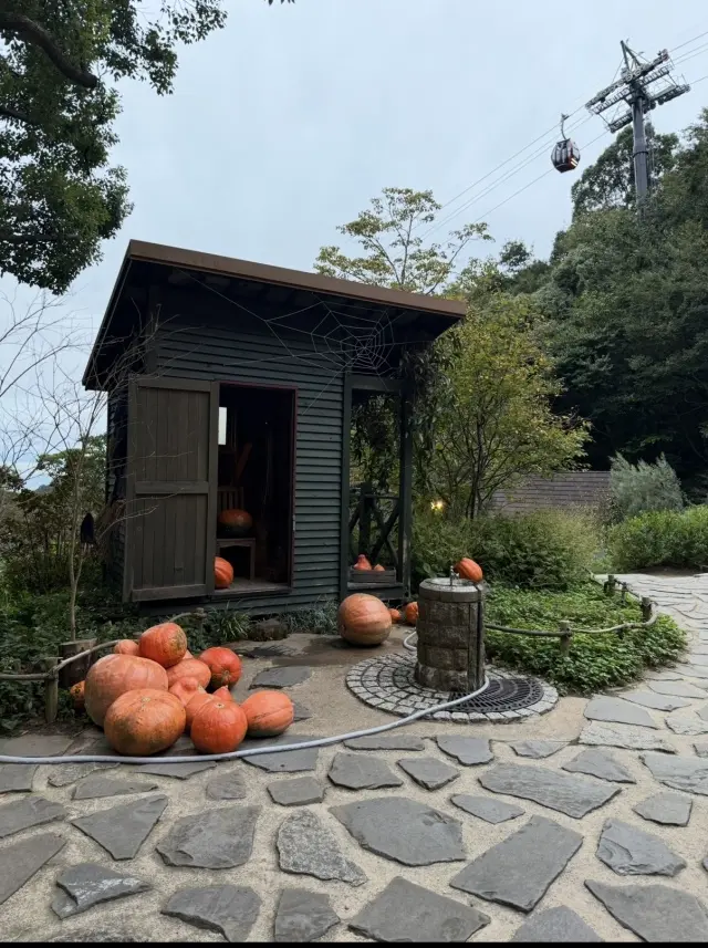 R13のブラックデニムで大人カジュアルコの画像_14