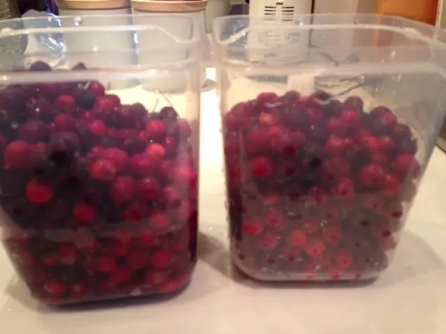お庭の『ジューンベリーの実』＊収穫してジの画像_4