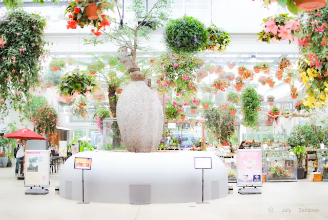 まさかの楽園?‼︎Starbucks☆はの画像_2