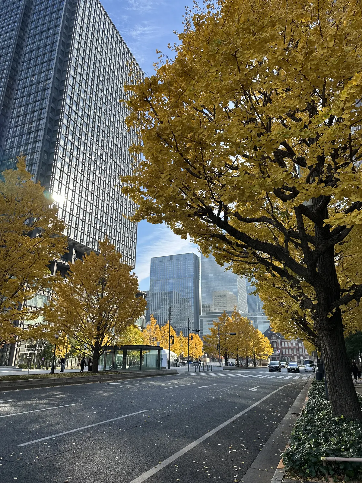 師走の丸の内からの画像_1