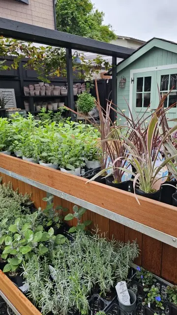 ガーデンズの画像_8