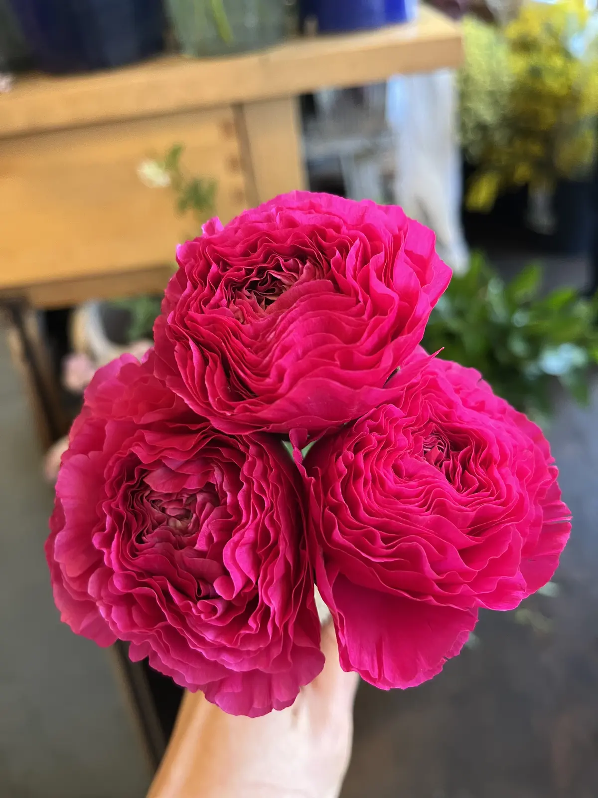 ハッとするようブーケをの画像_2