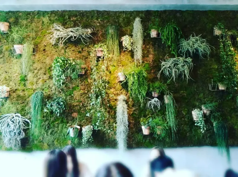 大人のワンハンドルBAGで、花屋カフェ の画像_6