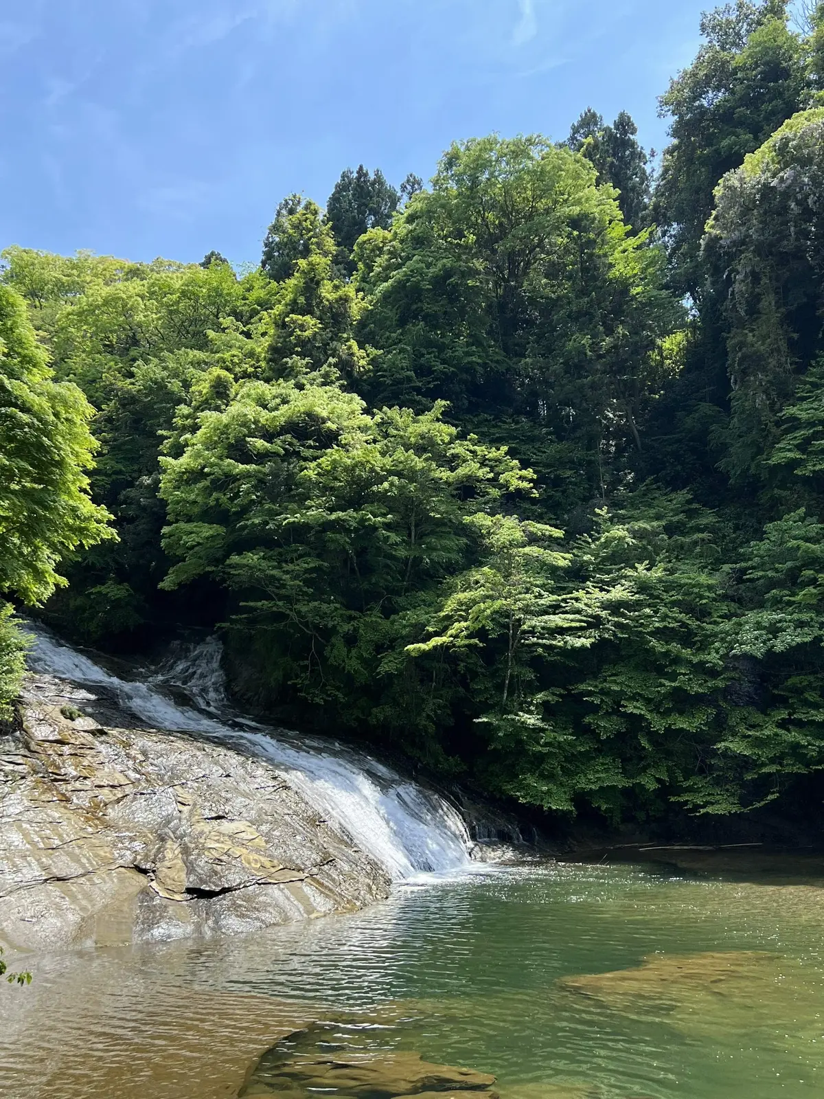 千葉県　観光名所　養老渓谷　滝　粟又の滝　川　水のある風景