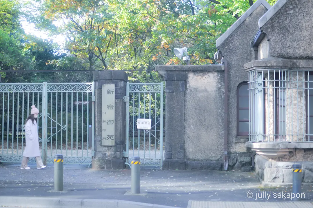 【さかぽんの冒険】プラタナス並木で ほっの画像_12