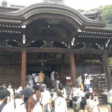 幸せを呼ぶ？！ハート型の紫陽花　～宇治旅の画像_3