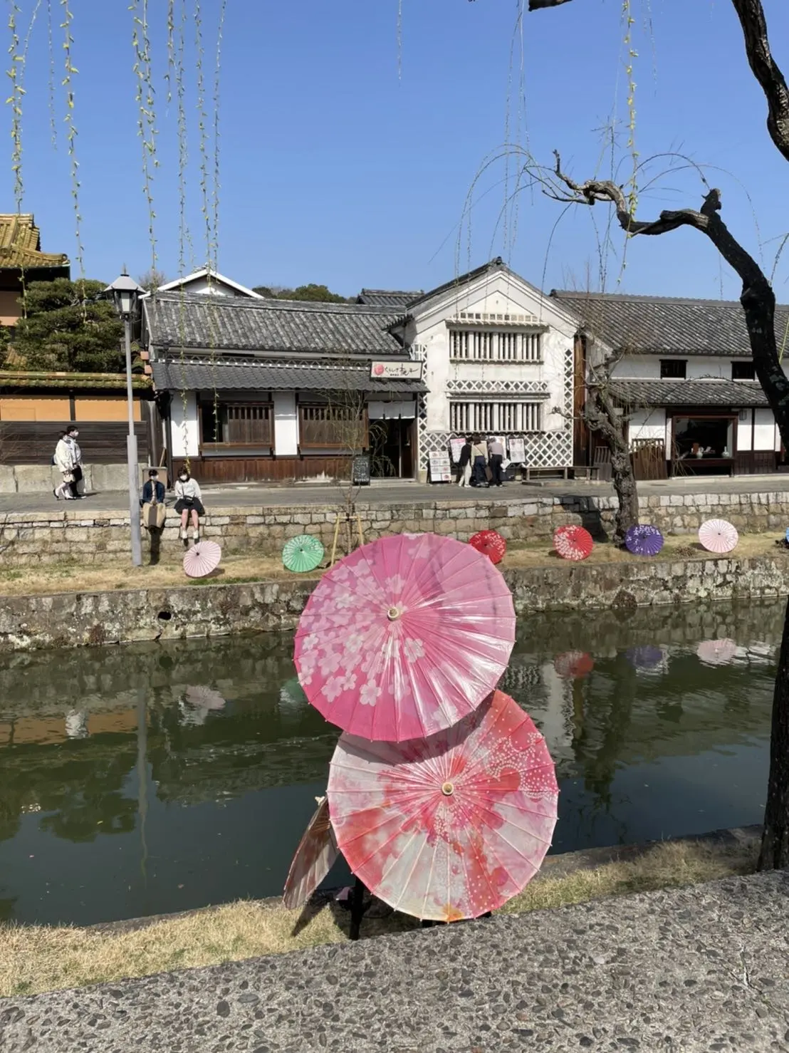 春あかりと鮮やかブルーグラデーションの画像_5