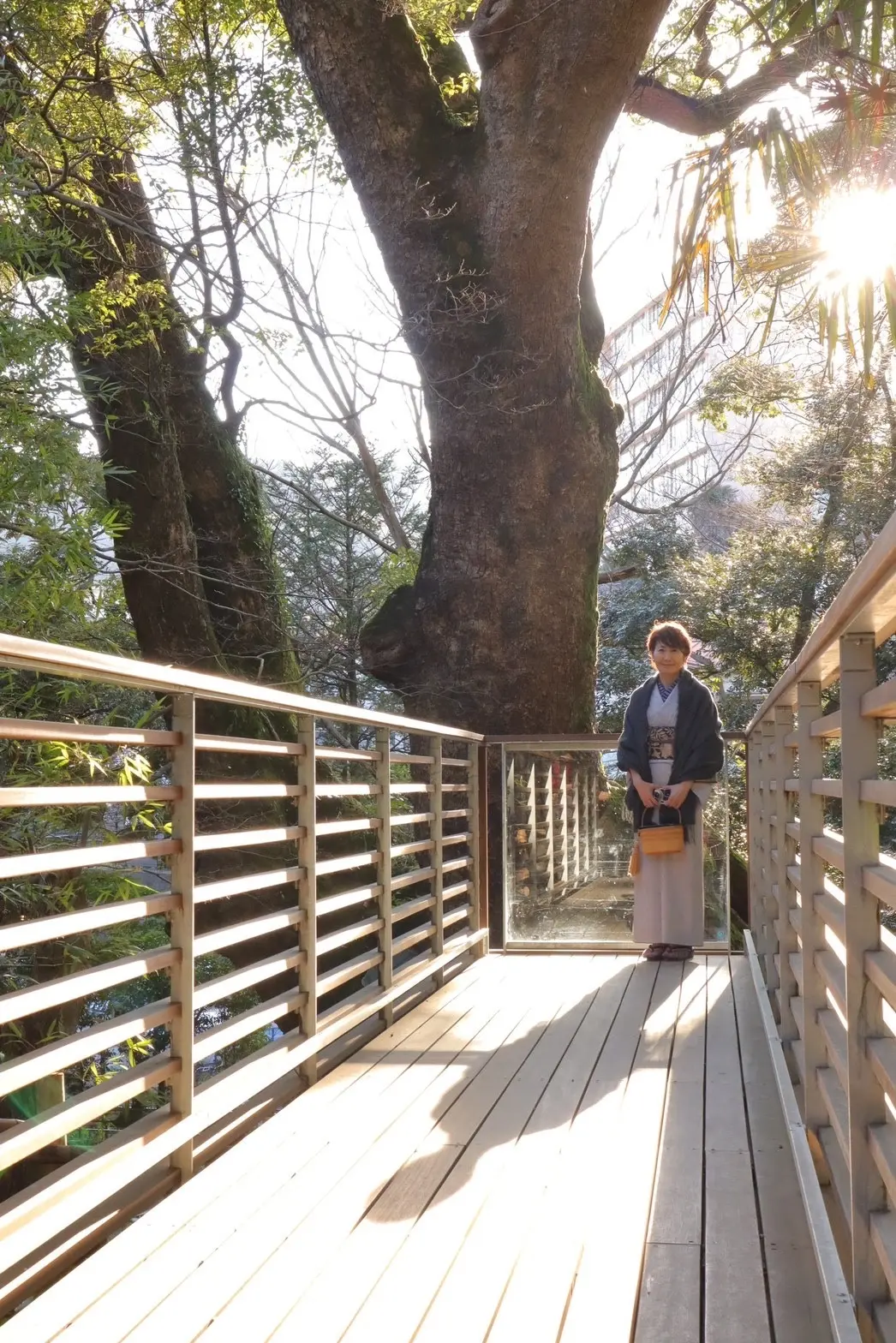 2月が満開　河津桜を見に熱海旅行への画像_8