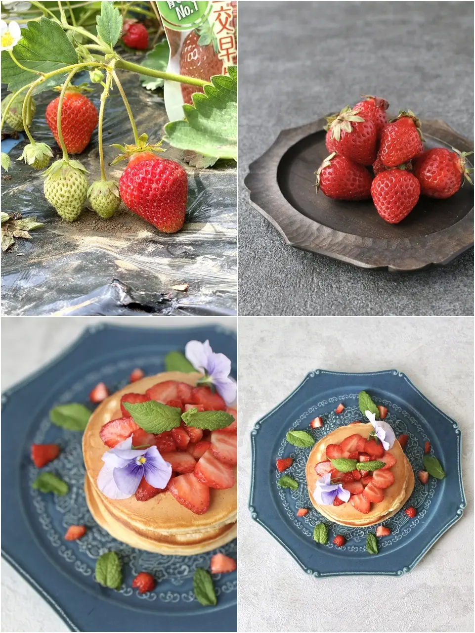 いちごのパンケーキ②