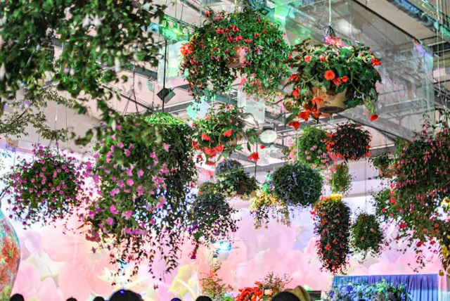 まさかの楽園?‼︎Starbucks☆はの画像_8