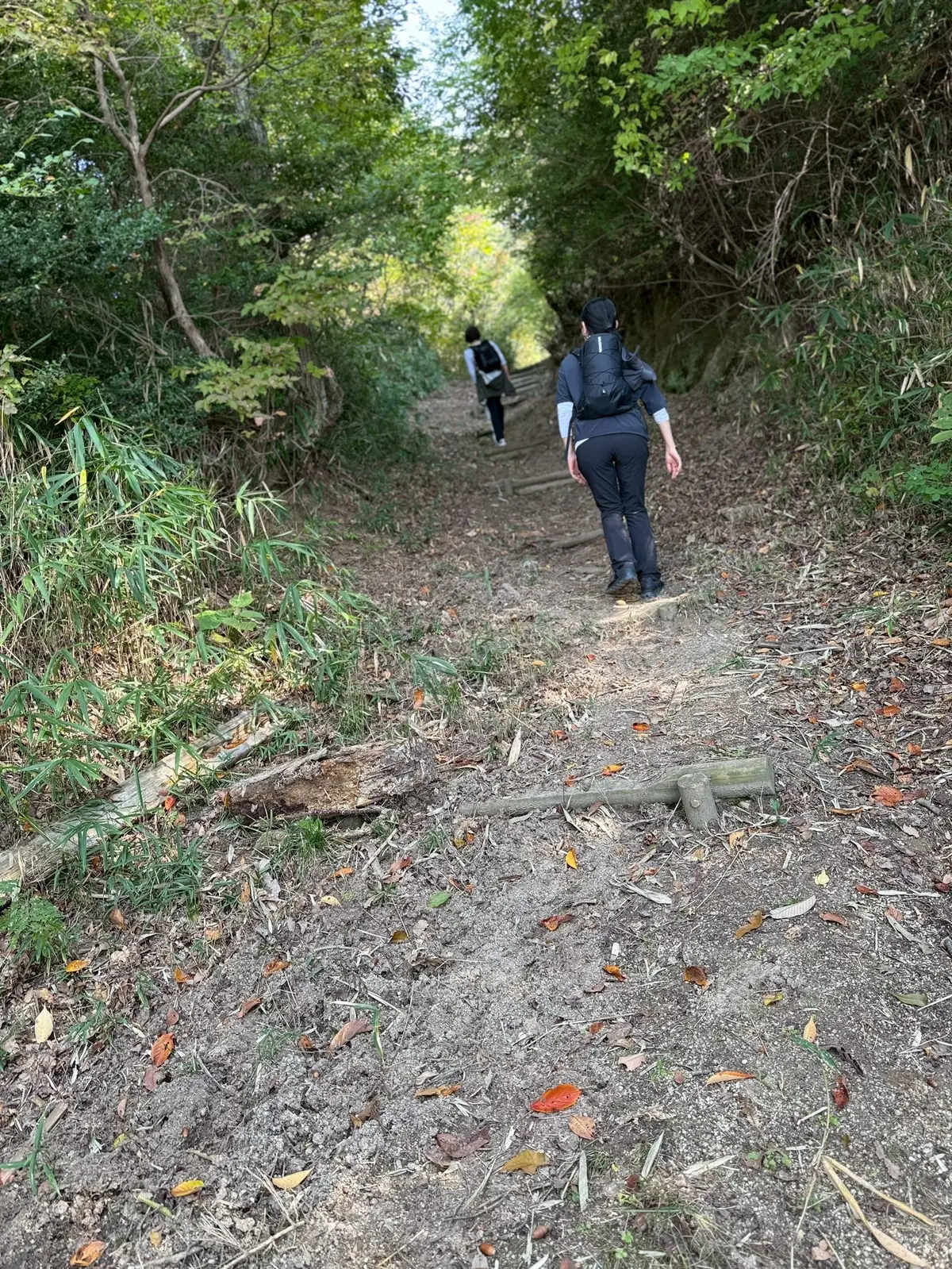秋を感じる生駒山で山登りの画像_3