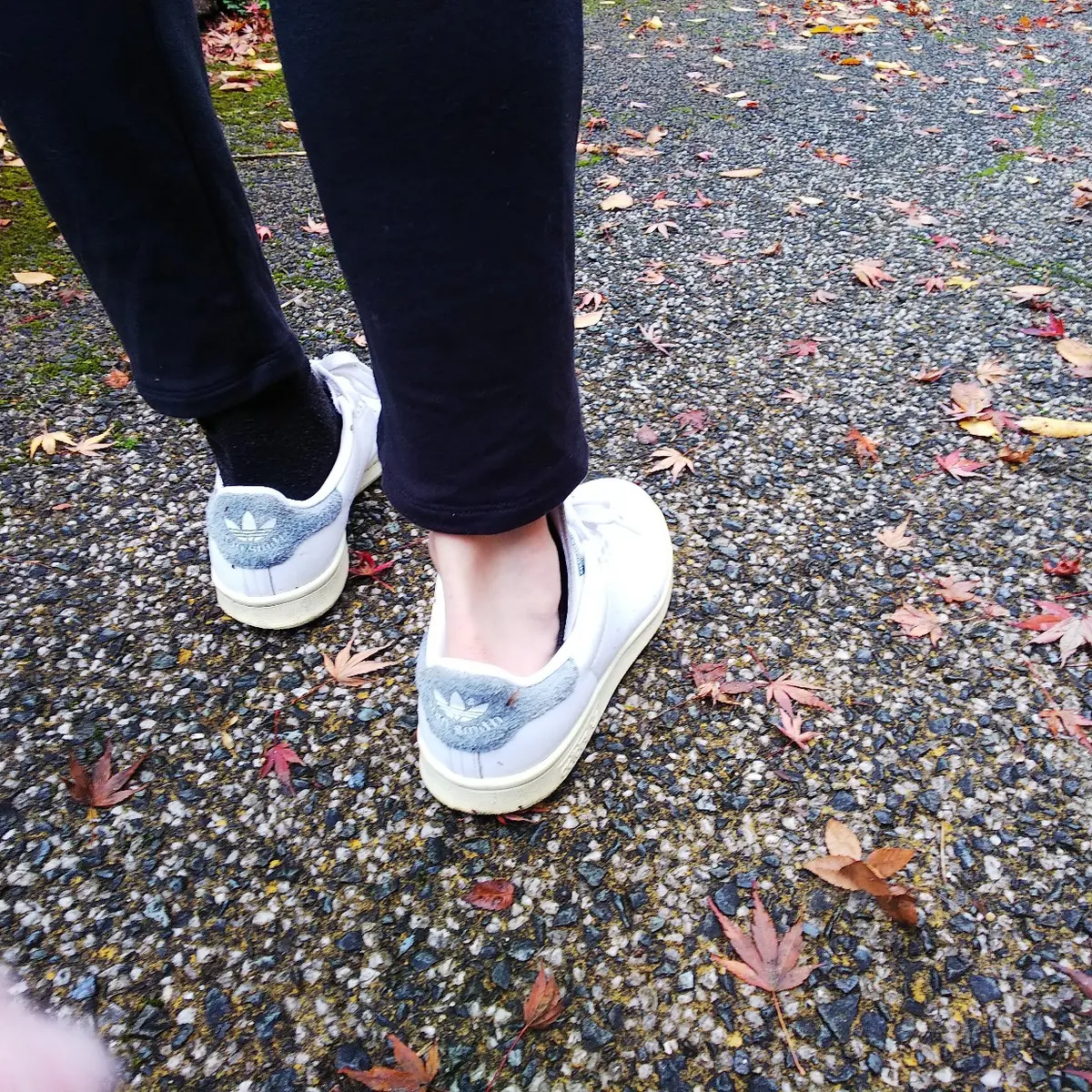 『胴吹き桜』の画像_6