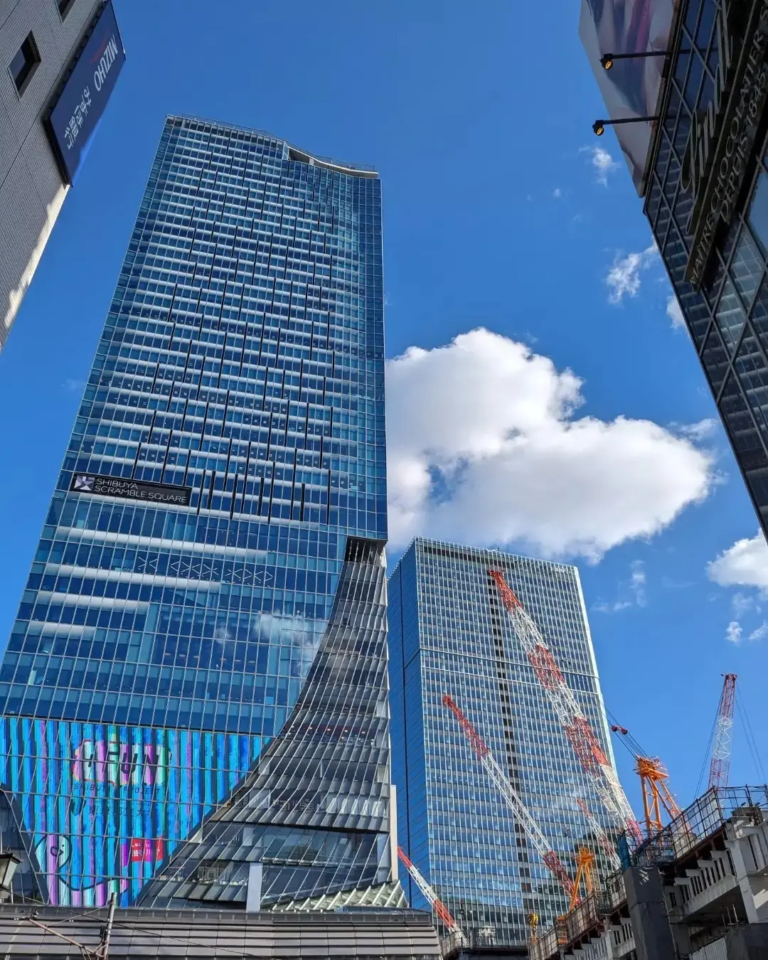 sequence MIYASITA PAの画像_1