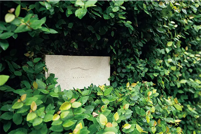 生活を彩る器と“リペア”の精神。京都に受け継がれる美を見つめる  ヌヌカライフ